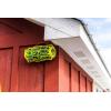 imageCARPENTER BEE TRAPSTIK