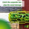imageCARPENTER BEE TRAPSTIK
