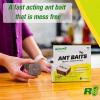 imageRESCUE Ant Baits  Indoor Ant Killer Ant Trap Alternative  2 Pack 12 Bait Stations