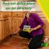 imageRESCUE Ant Baits  Indoor Ant Killer Ant Trap Alternative  6 Bait Stations