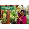 imageRESCUE WHY Trap for Wasps Hornets ampamp Yellowjackets  Hanging Outdoor Trap  8 Traps