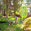 imageRESCUE Wasp TrapStik  Traps Wasps Mud Daubers ampamp Carpenter Bees