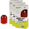 imageRESCUE Fruit Fly Trap  Reusable includes Liquid Bait Attractant  3 Pack
