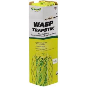 imageRESCUE Wasp TrapStik  Traps Wasps Mud Daubers ampamp Carpenter Bees