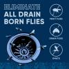 imageFruit Fly Drain Treatment  Drain Fly Eliminator  AllNatural Eliminates Gnats Sewer Flies and More  Works in All Drains  1 Gallon32