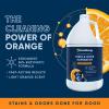 imageOrange Odor Eliminator  Pet Odor Deodorizer for Strong Odor  Enzyme Stain Cleaner for Cats Dogs and Pets  Great for Carpets Furniture Dog Kennels and More 32 Fl Oz128 Fl Oz
