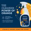 imageOrange Odor Eliminator  Pet Odor Deodorizer for Strong Odor  Enzyme Stain Cleaner for Cats Dogs and Pets  Great for Carpets Furniture Dog Kennels and More 32 Fl Oz32 Fl Oz