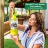 imageRESCUE POP Fly Trap Bait Refill  Outdoor Use  6 Pack