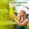 imageRESCUE Yellowjacket Attractant  for RESCUE Reusable Yellowjacket Traps  4 Week Supply  20 Pack