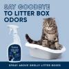 image:imageEco Strong Cat Stain And Odor Remover Enzyme Urine Odor Neutralizer  Stain Remover for Carpet Litter Boxes Bedding and Laundry Citrus Scent Gallon Value Size32 Ounce Pack of 1