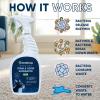 image:imageEco Strong Cat Stain And Odor Remover Enzyme Urine Odor Neutralizer  Stain Remover for Carpet Litter Boxes Bedding and Laundry Citrus Scent Gallon Value Size32 Ounce Pack of 1