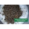 image:imageJapanese Beetle Trap